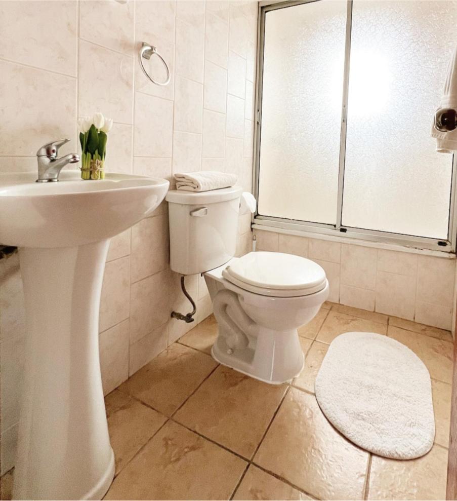 Hostal Feliza Вальдивия Экстерьер фото